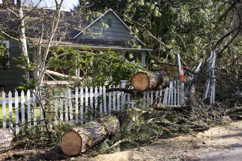 Fallen Tree Removal in Aiken, SC