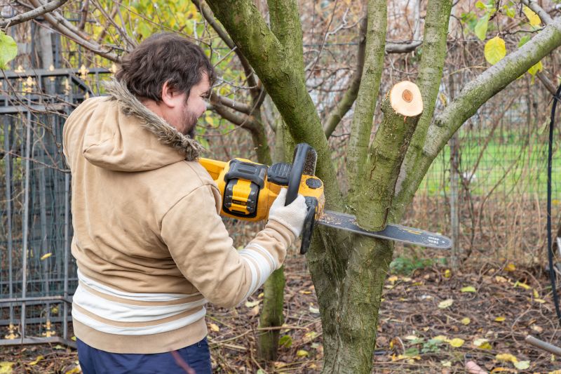 Residential Tree Service in Reno, NV
