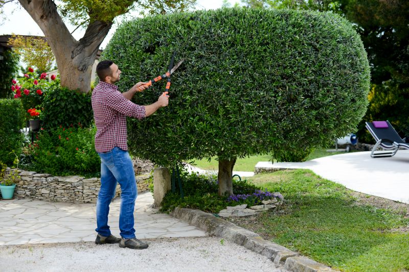 Topiary Shaping in Honolulu, HI