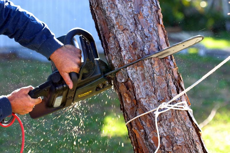 Tree Removal Service in Bucks County, PA