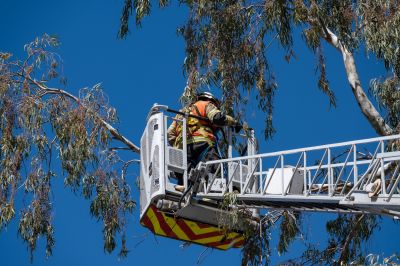 Pruning at Heights