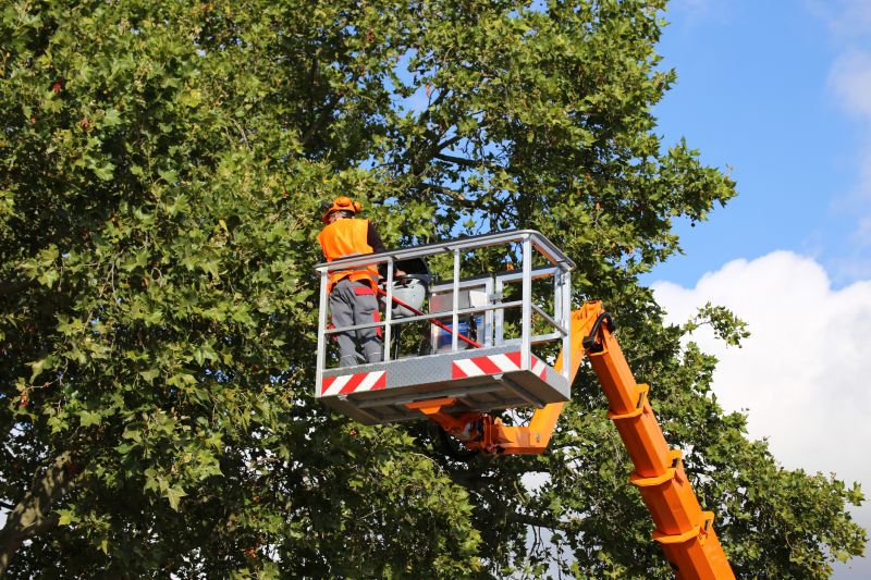 Equipment for Tree Care